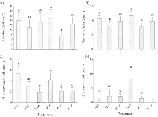 Figure  8.  Mean  A)  abundance  and  B)  species  richness  (number  of species)  of macrofauna  and  abundance  of C) Hemigrapsus  oregonensis and  D)  Ba/anus crenatus  (±  SE,  n  =  8)  from  sediment  samples from  three Net treatments