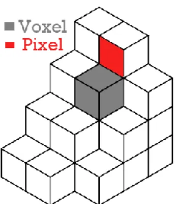 Figure 6 : Représentation voxel/ pixel 