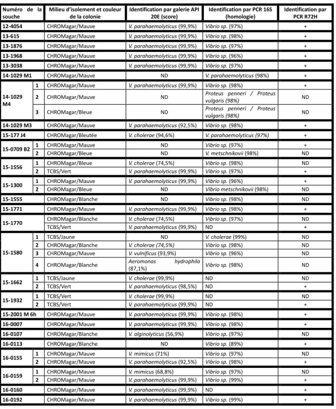 Tableau 3 : Isolement sur milieu gélosé et identification des souches bactériennes par galerie API 20E et/ou par PCR 16S et/ou  par PCR R72H ; ND : Non Déterminé ; + : Identification de V