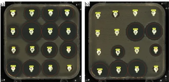 Figure 5 : Exemples d’antibiogrammes obtenus sur milieu Mueller-Hinton  a) Souche 15-2013 ; b) Souche 16-0006