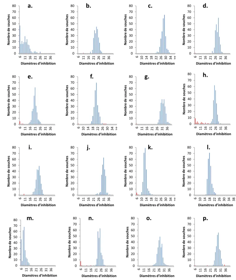 Figure 6 : Distribution des diamètres d'inhibition (en mm) par antibiotique mesurées pour 248 souches de Vibrio parahaemolyticus