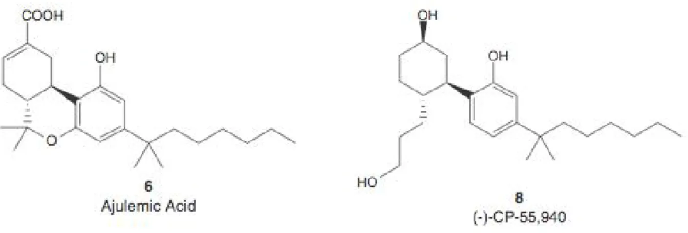 Figure 6. Structures de cannabinoïdes synthétiques 