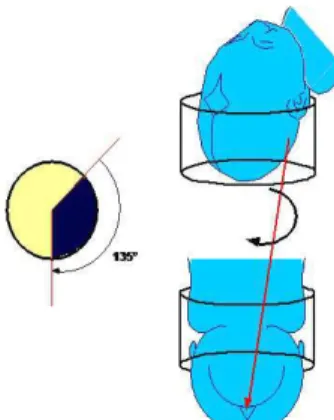 Figure 4     : Rotation de 45°  (31) Figure 5     : Rotation de 135°  (31)