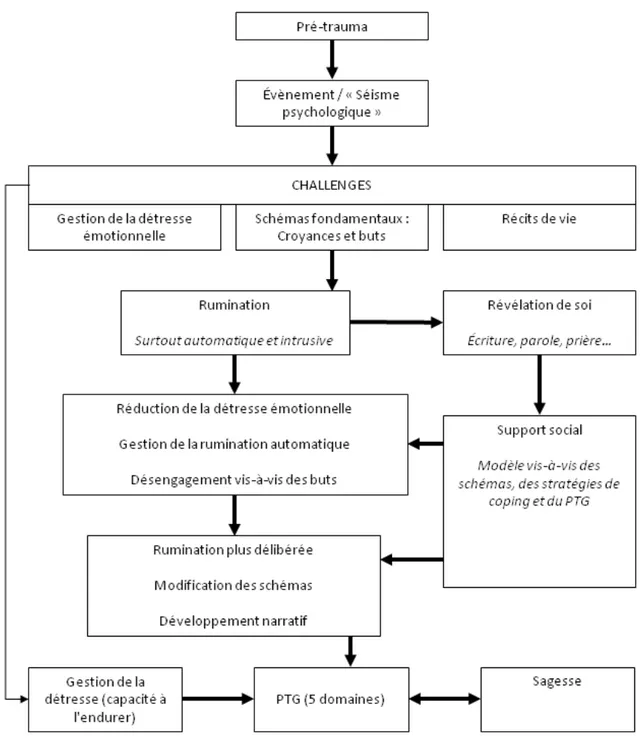 Figure 1 : Modèle du fonctionnement descriptif de la croissance post-traumatique 1 