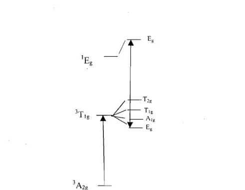 Figure 2.4.  Le couplage spin-orbite entre un état triplet,  3 T \g  et un état singlet,  IEg