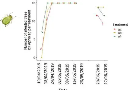 Figure 13: Evolution of the proportion of infested shoots by Aphis sp per tree (median and interquartile range by treatment)