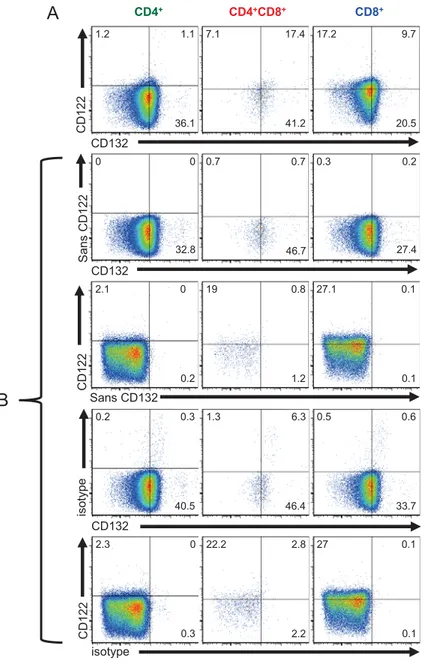 Figure 7: Expression ex-vivo des deux chaînes du récepteur de l’IL-15 par différentes  sous-populations de lymphocytes T humains