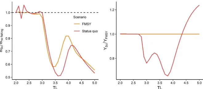 Fig. 10: Trophic spectra of biomass ratio (right) of the Status quo (Sc 1, in red) and the F MSY  (Sc 2, in gold)  compared with the No fishing scenario (Sc 0), and the catch compared with the F MSY  scenario
