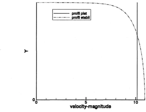 Figure 11  Profils de vitesse constant et développé  (Vmoy  =  2000ppm) 