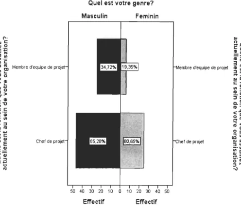 Figure 9.  Fonction  ass umée  actuell ement 
