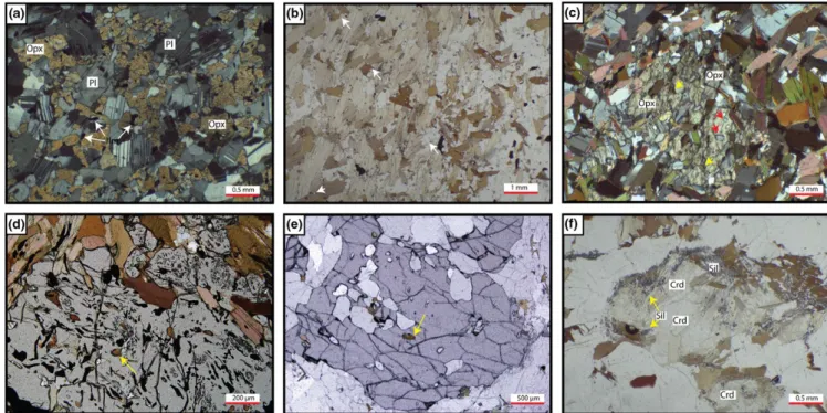 FIGURE 5  Photomicrographs of microstructures. (a) Mafic scholle distant from the selvedge (EC24A); with mineral assemblage  orthopyroxene + plagioclase + ilmenite