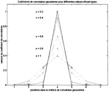 Graphique  10  :  Coéficients des matrices de convolution gaussiennes  pour divers écart-types 