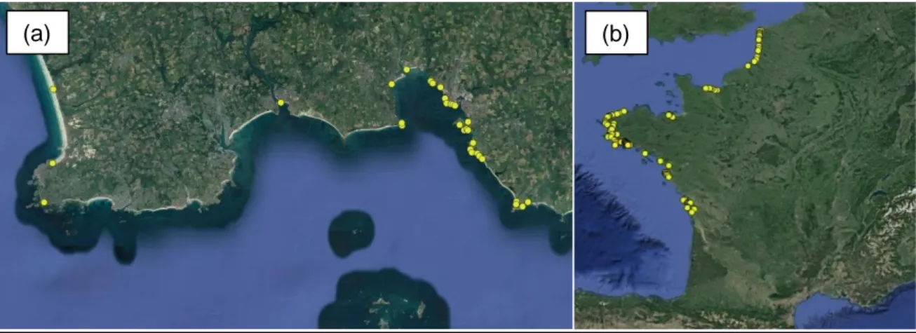 Figure 2 : (a) Carte des 31 sites suivis, correspondant à la « zone Finistère » et (b) carte  complète des 169 sites échantillonnés