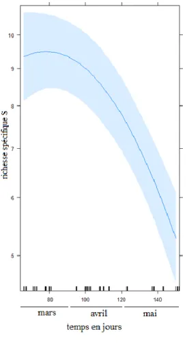 Figure 11  :  modélisation  par  un  modèle  GAMM  de  la  richesse  spécifique de la laisse de mer en  fonction du temps