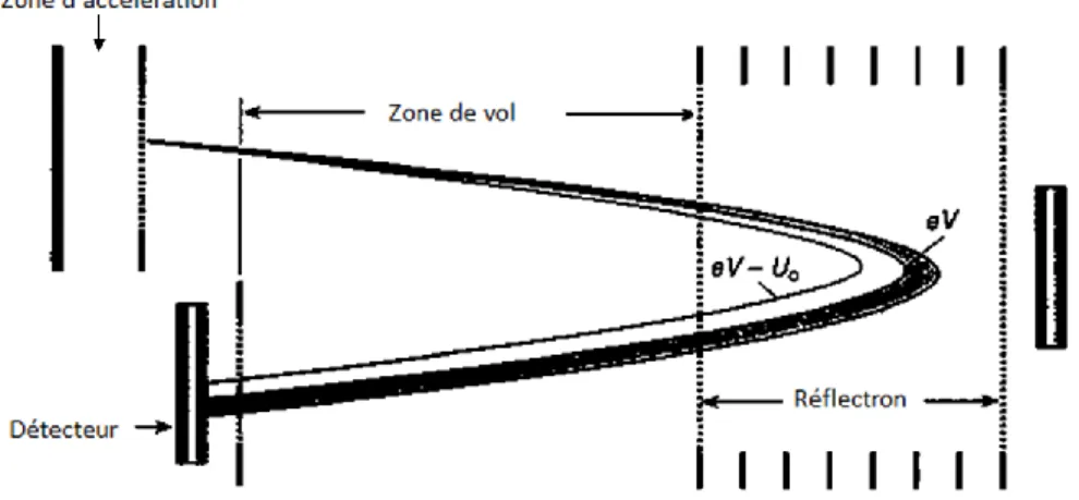 Figure 12.  Schématisation  d’un  analyseur  par  temps  de  vol  avec  un  réflectron 66 