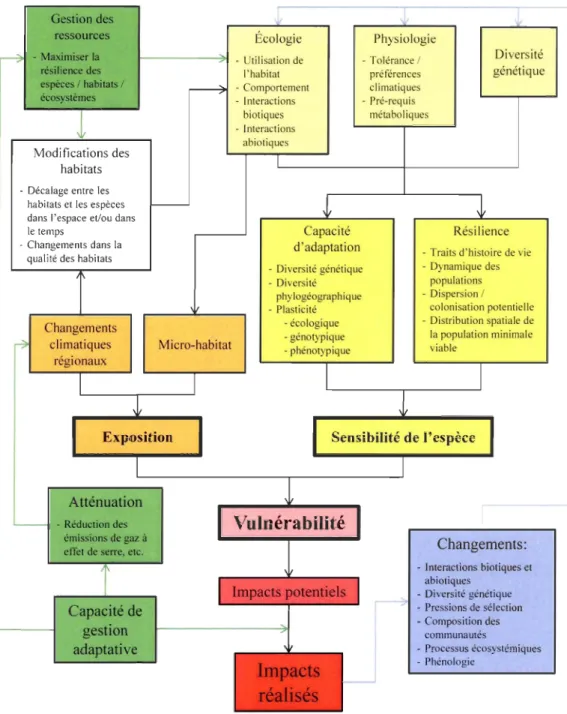 Figure  1 : Schéma conceptuel  de  la  vulnérabilité des  espèces aux  changements climatiques