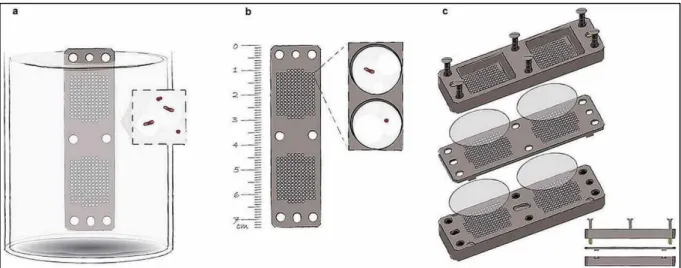 Figure 8. Exemple de chambre de diffusion multi-canaux. 