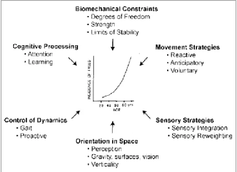 Figure 5 : Ressources requises pour la stabilité posturale et l’orientation. 