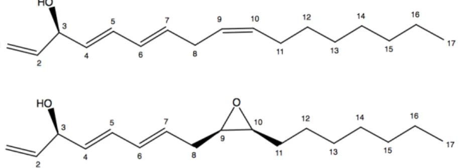 Figure 4 - Structures des polyacétylènes (3R)-falcarinol (1) et  (3R,9R,10S)-panaxydol (2) isolés de l'Aralia nudicaulis L