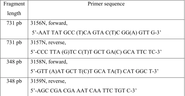 Table I. Degenerate HEV primers sequences used for nested RT-PCR in the  detection of the ORF2, in pigs