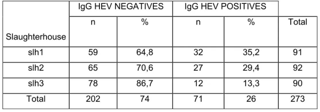 Table III. Detection of IgG anti-HEV antibodies in the serum of slaughtered  pigs, using a swine-ELISA 
