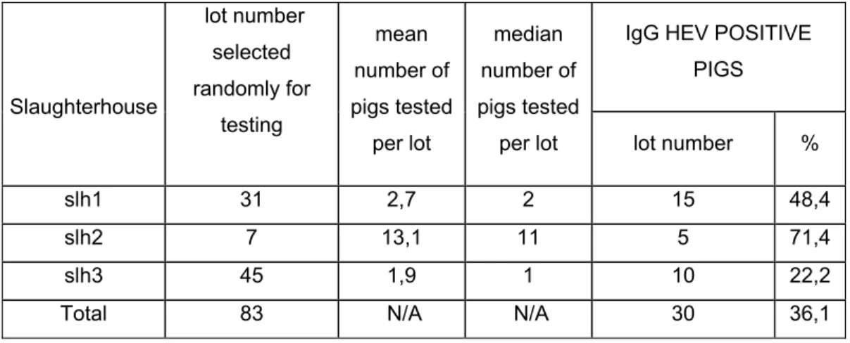 Table V. Determination of the HEV IgG antibody status of distinct lots of pigs  grouped according to their ear-tag numbers  
