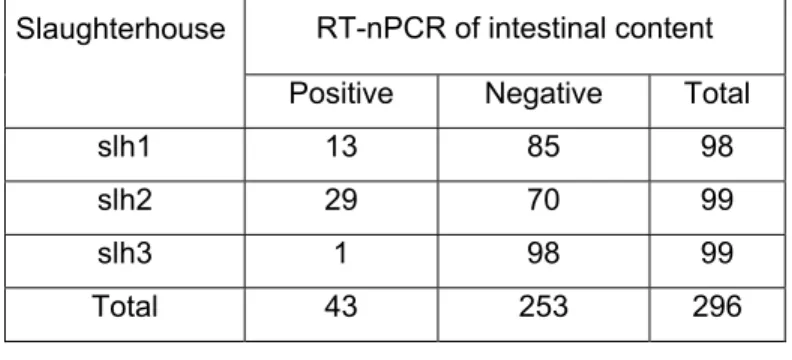 Table VIII. Detection of viral HEV RNA in the fecal content of slaughtered  pigs, using RT-nPCR 