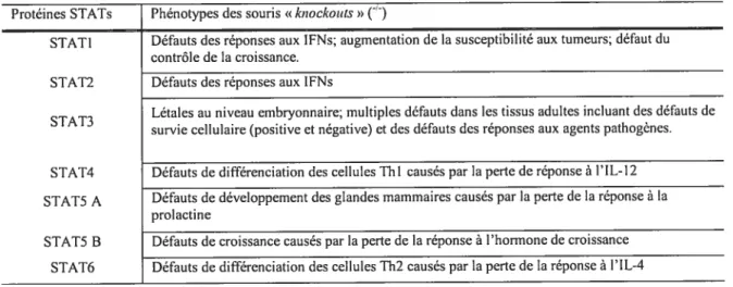 Tableau 1.2. Rôles des protéines STATs, révélés par la délétion du gène chez la souris (Adapté de Levy et Darnell, 2002).