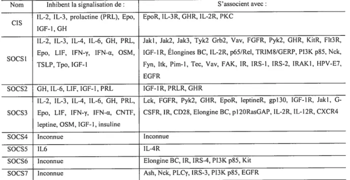 Tableau 1.3. Les membres de la famille de protéines SOCS s’associent avec une variété de protéines et inhibent la signalisation de plusieurs cytokines (Adapté de Krebs et Hilton 2001;