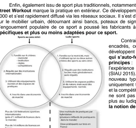 Figure 1 : Les cultures sportives, entre sports et ludo-sports (Augustin 2011) 