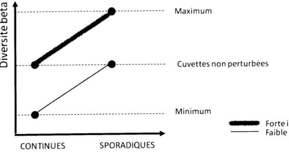 Figure  6  :  Représentation  graphique  des  hypothèses  testées  au  chapitre  2