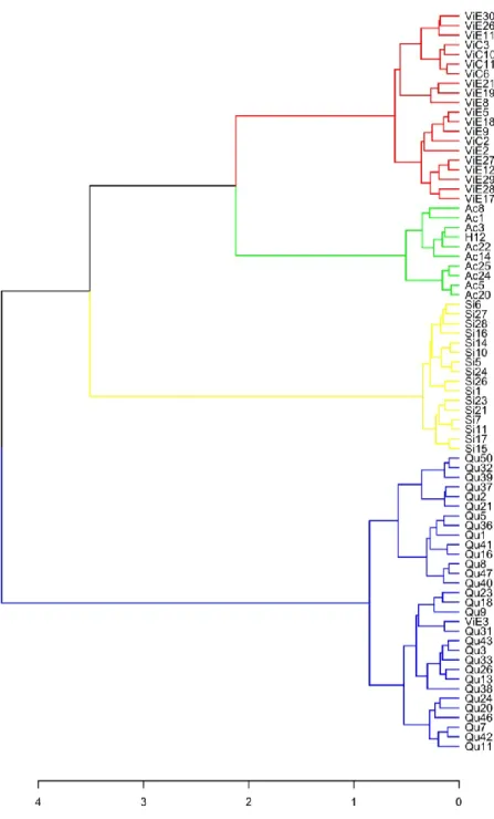 Figure 3. Dendrogram of Ward's minimum variance clustering on Gower's distance matrix for  qualitative and quantitative morphological traits