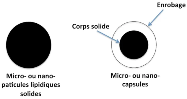 Figure   1.1   MLS,   NLS   et   Micro-­‐   ou   nano-­‐   capsules   