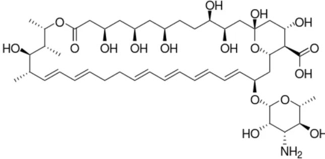 Figure   1.7   Structure   chimique   de   la   nystatine   