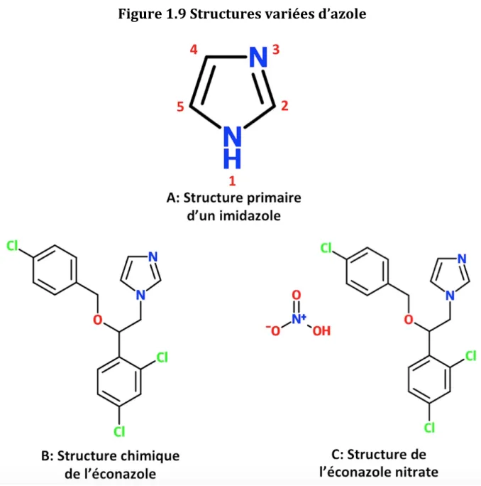 Figure   1.9   Structures   variées   d’azole   