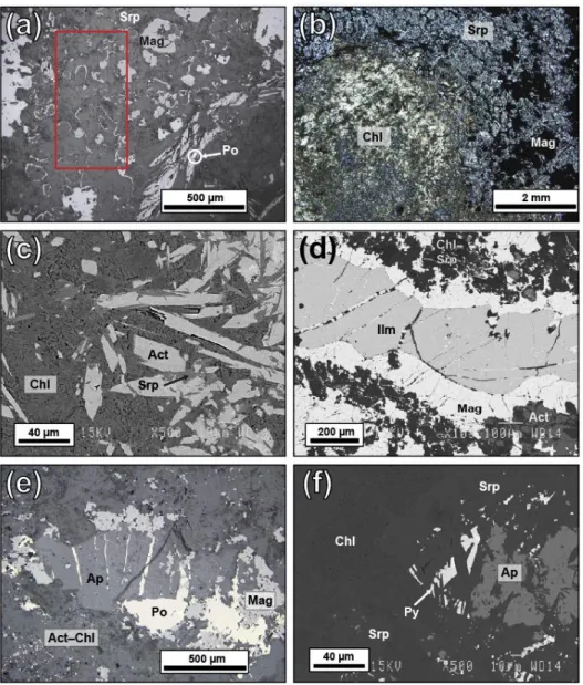 Figure 5. Images showing the textures of samples: (a) MS17-45, with linear magnetite that rim olivine  grains pseudomorphed by serpentine and talc; (b) MS17-45, chlorite cluster in a magnetite-serpentine  matrix;  (c)  MS17-28,  edge  of  an  actinolite-be