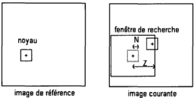 Figure 19  Mise en correspondance des points de contrôle par template matching  Ainsi  pour chaque point de contrôle,  on découpe un noyau dans  l'image de référence et  on effectue la SSD, c'est à dire la somme des carrés des différences des niveaux de  g
