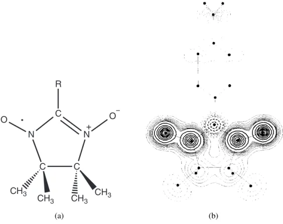 Figure 1. Chemical structure of a nitronyl nitroxide radical, where R is the substituent that different- different-iates among members of this family (representative cases range from a simple H atom up to substituted six-membered rings).