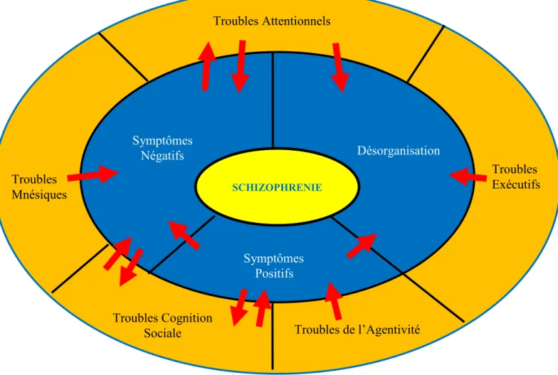 Figure 1- Interaction des symptômes de la Schizophrénie 