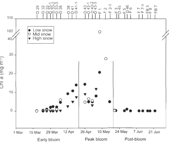 Fig.  2.  Temporal  change in  chlorophyll  a  (chi  a)  concentration during the  3  bloom periods  under  low,  mid  and  high  snow  cover  conditions 