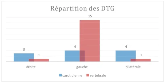 Graphique n°5 : Répartition des 33 DTG.  