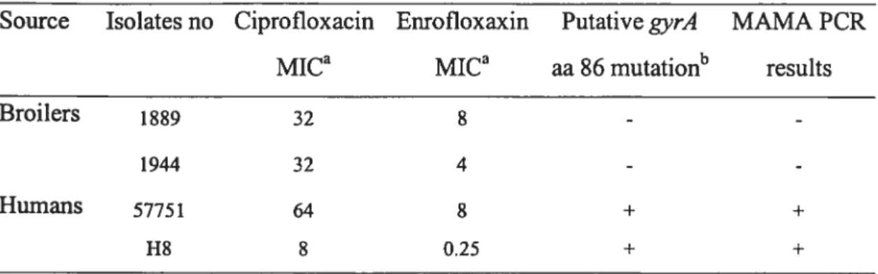 Table 4. Mutations in the gyrA QRDR region of C. jejuni isolates and MICs to ciprofloxacin and enrolloxacin