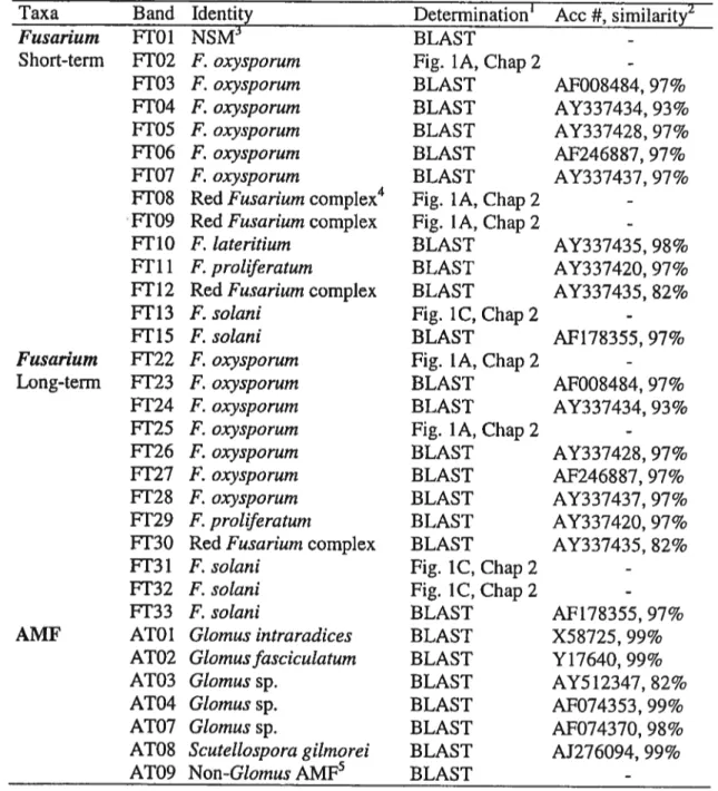 TABLE I. Identity for bands observed in DGGE gels as determined by a BLAST search of sequenced bands or by comparison to migration positions of known taxa.