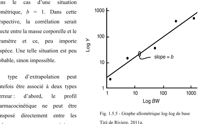 Fig. 1.5.5 - Graphe allométrique log-log de base   Tiré de Riviere, 2011g. 