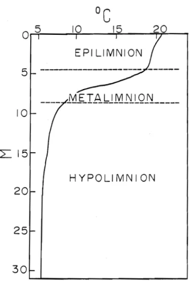 Figure  2.1  Conception  d'un  bassin  divise  en  trois  regions  thermiques. 