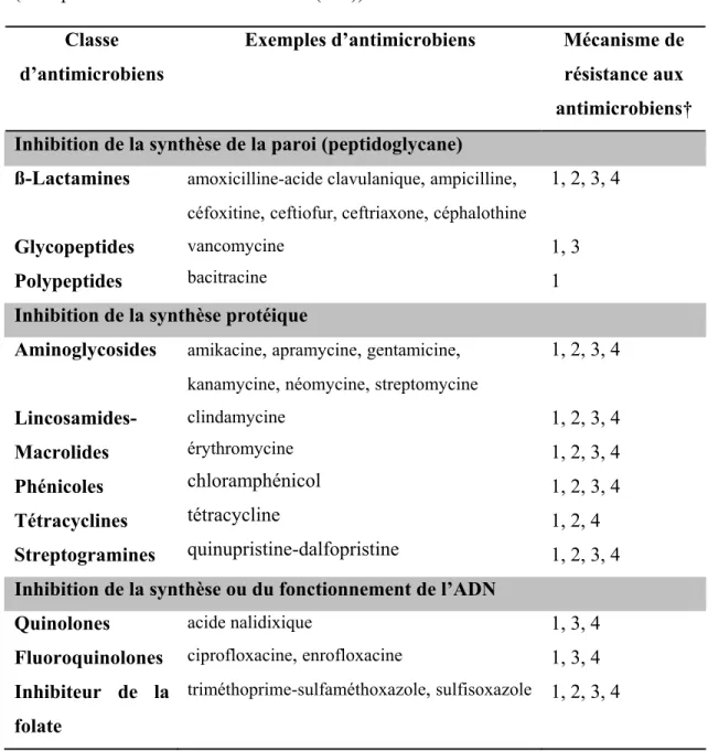 Tableau II : Mécanismes de résistance aux antimicrobiens (38, 191, 200, 211, 266)  (revu par Schwarz et Chaslus-Dancla (212))