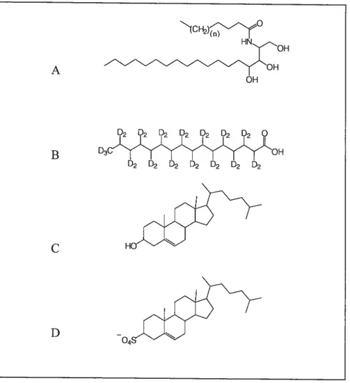 Figure 1.6 Structure des lipides utilisés dans la composition des mélanges modèles du SC.