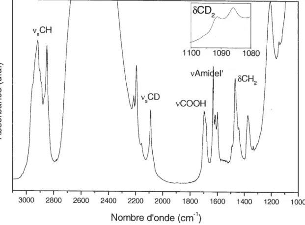 Figure 1.9: Spectre d’absorption infrarouge d’un mélange équimolaire CER IITjPA d31/Chol dans un tampon deutéré à 30 °C.