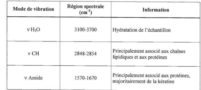 Tableau IIi Attribution des principales bandes de diffusion Raman visibles sur un spectre d’épiderme humain.