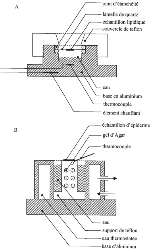 figure 2.2: Schémas des montages pour la spectroscopie Raman sur des mélanges lipidiques (A), et des échantillons d’épiderme humain (B).